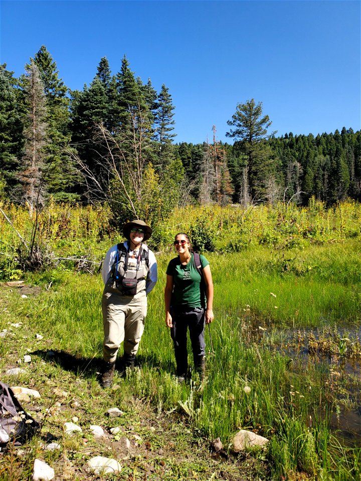 Boreal Toad Surveys at Lakes, Canjilon RD, Carson NF