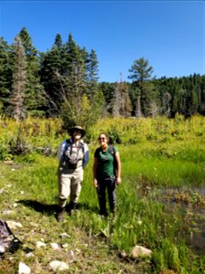 Boreal Toad Surveys at Lakes, Canjilon RD, Carson NF