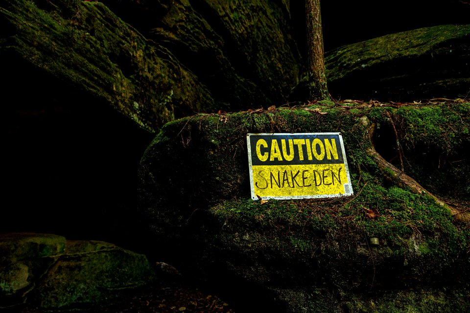 Dismals Canyon