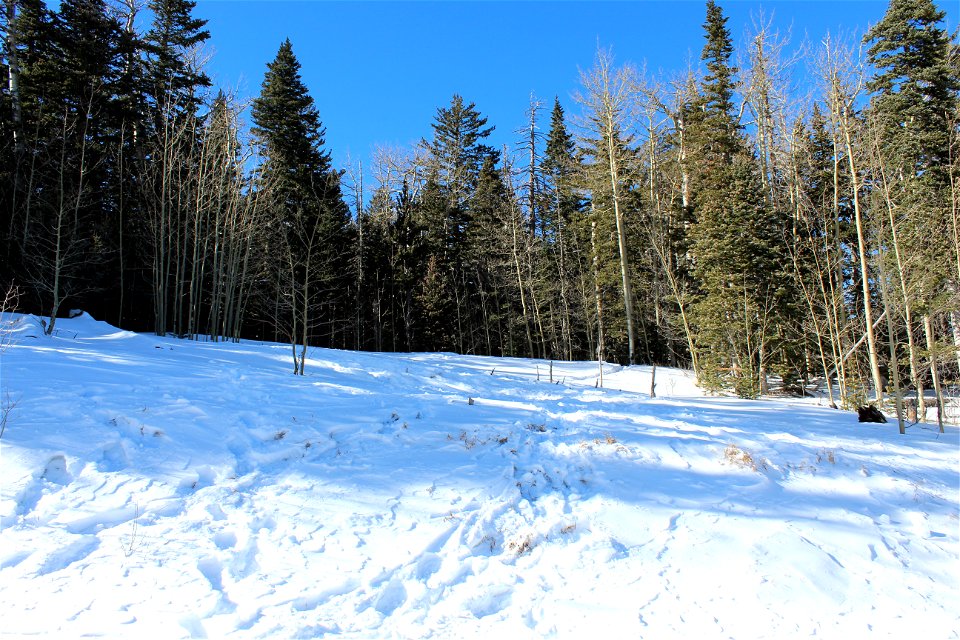 Ellis Trailhead Dec 2020