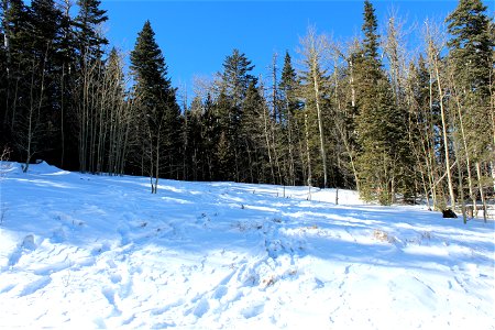 Ellis Trailhead Dec 2020