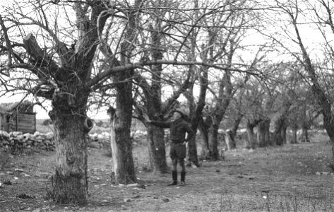 Historic Photos Cibola NF & NGs