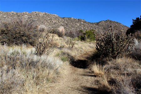Sandia Ranger District – 3 Gun Trailhead