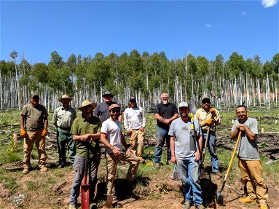 Mt Taylor RD Staff Seedling Planting 2021