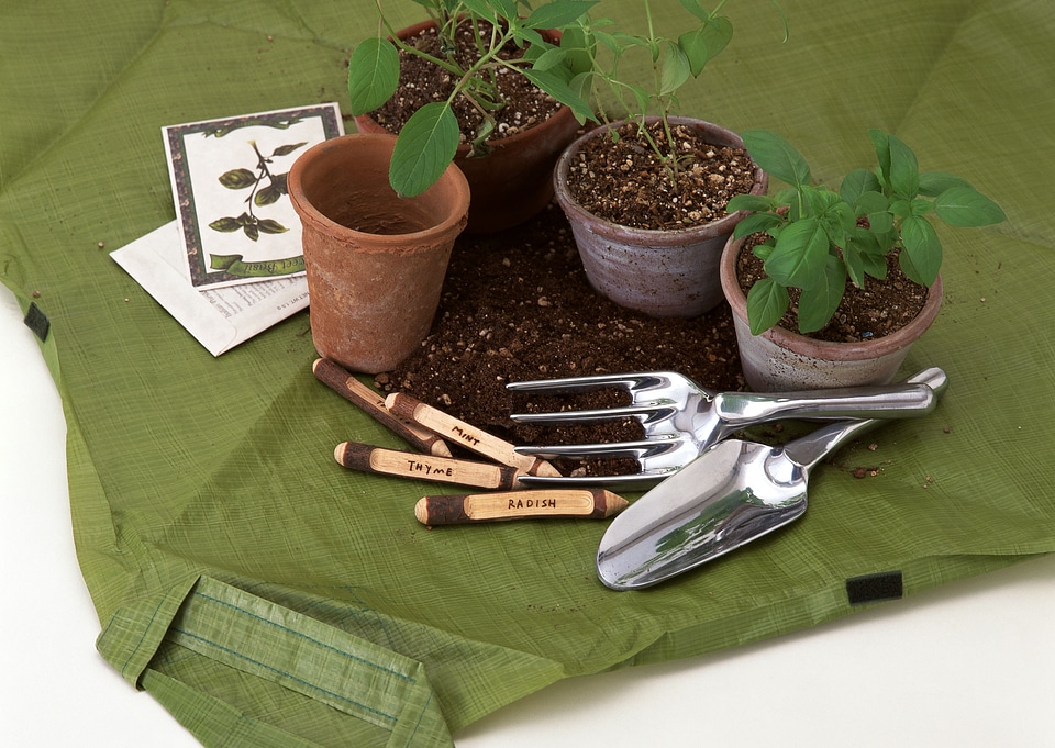 Garden tools and name tag on grass in yard