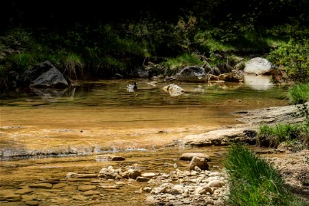 30-05-2019 Gorgs del Torrent de la Cabana