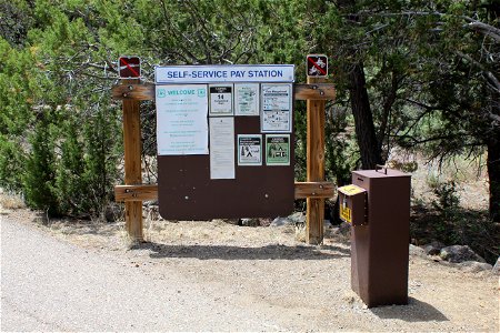 Mt Taylor RD Coal Mine Campground