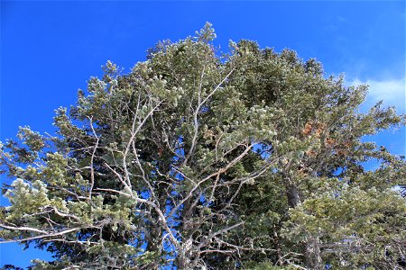 Ellis Trailhead Dec 2020