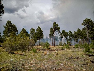 Thunderbird Prescribed Burn