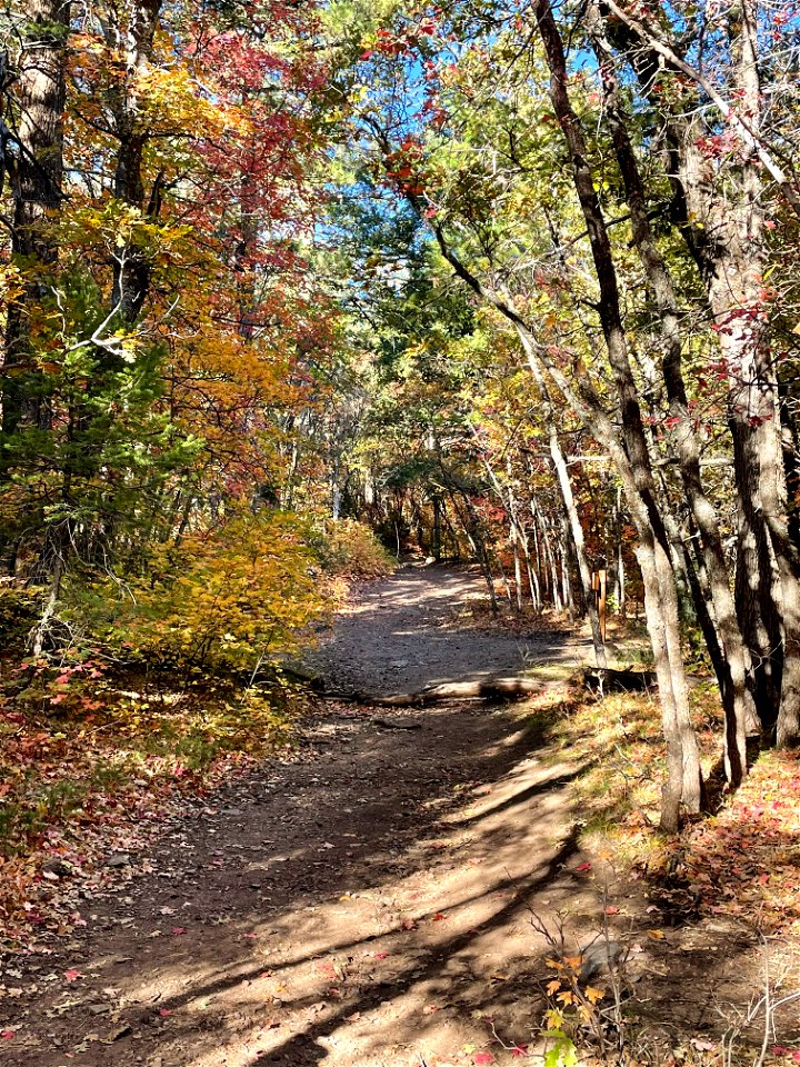 Fall Colors on Mountainair Ranger District