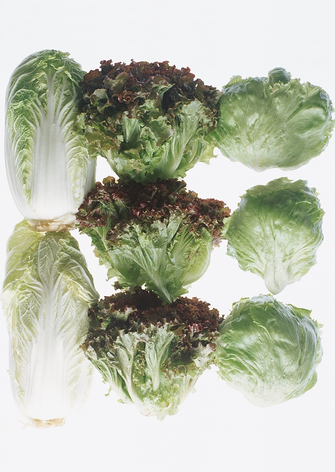 chinese cabbage and lettuce