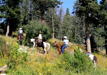 Horseback Riding on Sandia Ranger District