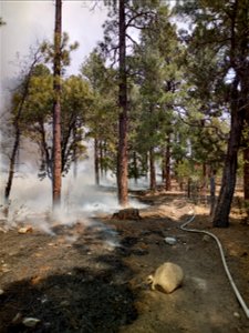 Thunderbird Prescribed Burn
