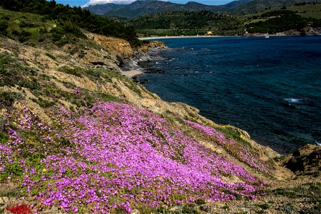 01-05-2022 Camí de Ronda de Llançà a Colera