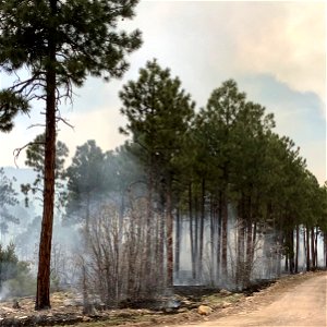 Thunderbird Prescribed Burn