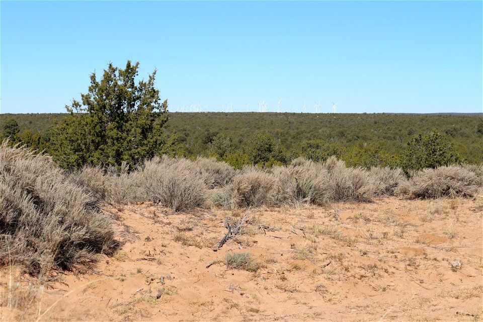Gallinas Mountains