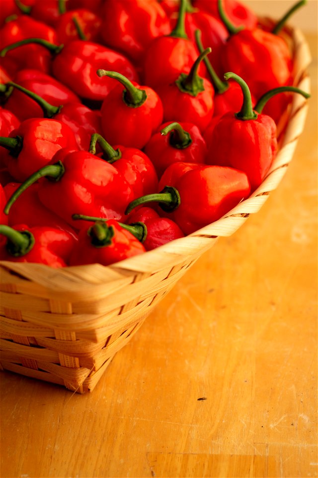 Hot Peppers