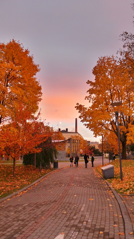 Beautiful country road in autumn colors