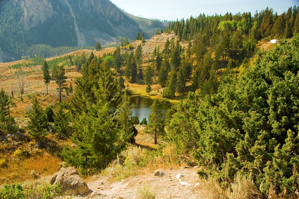 Yellowstone National Park Wyoming