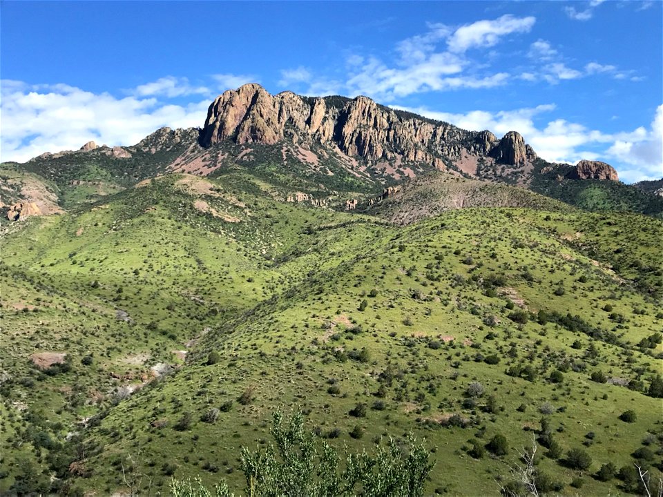 Vick’s Peak, Apache Kid Wilderness
