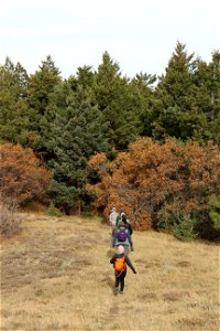 20181030-FS-CIB-MountainairRD-005