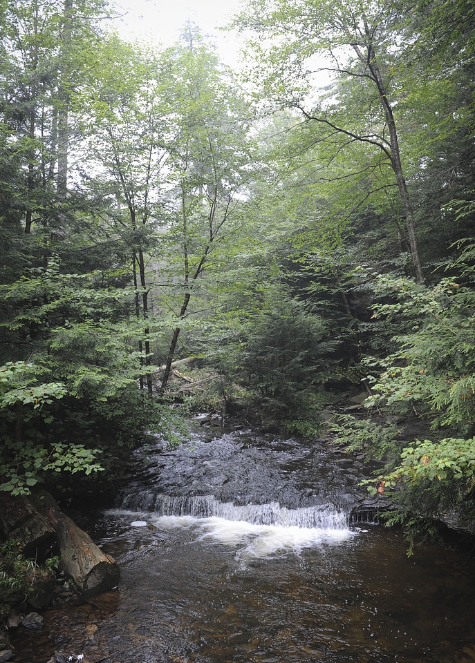 Ricketts Glen State Park