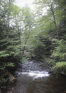 Ricketts Glen State Park