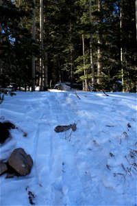 Ellis Trailhead Dec 2020