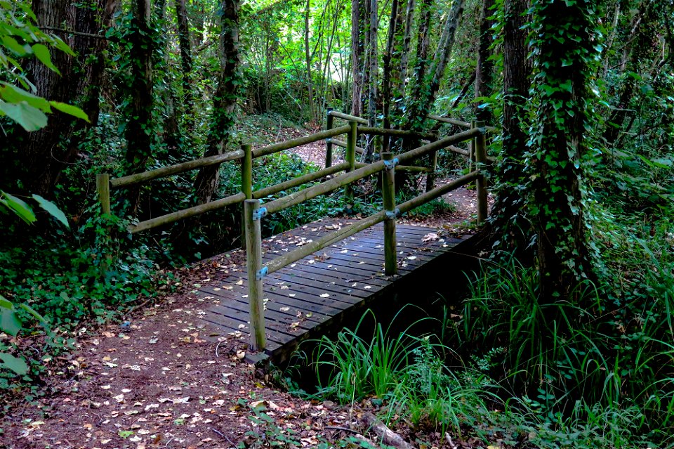 11-08-2020 Camí de La Muga