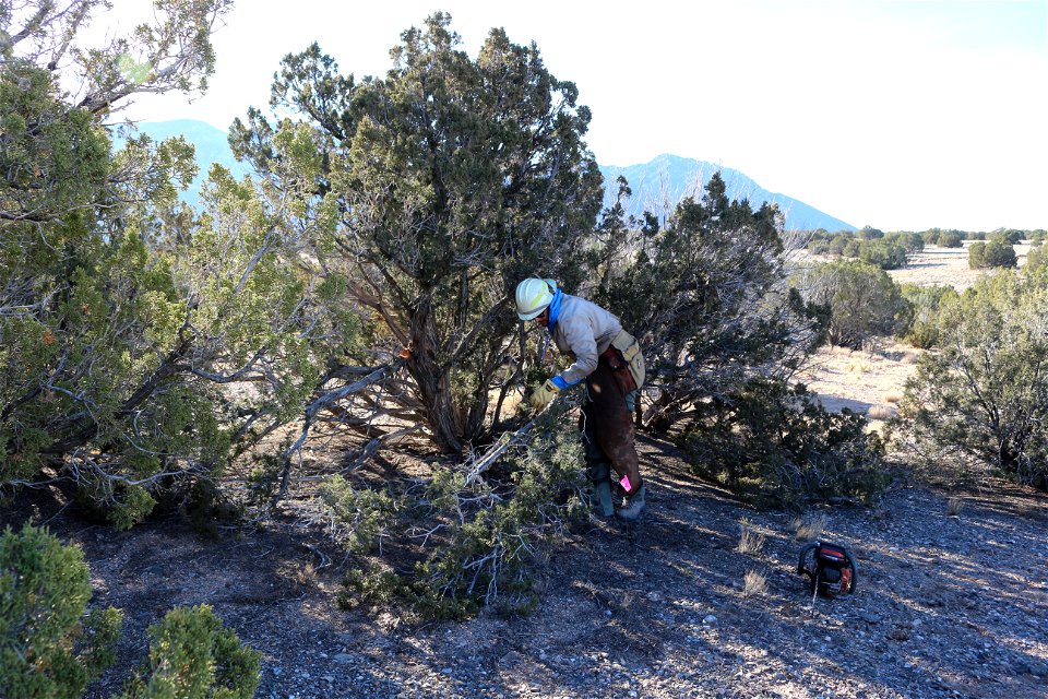 Sandia Trail Improvement Project