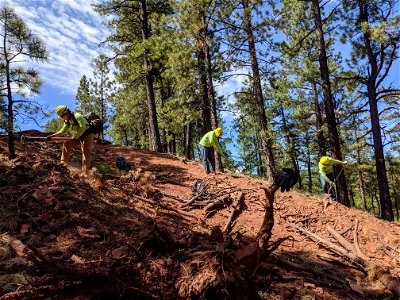 Mt. Taylor RD Road Restoration