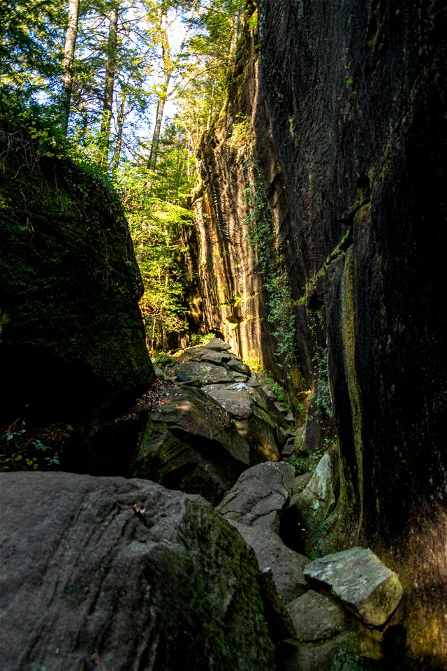 Dismals Canyon