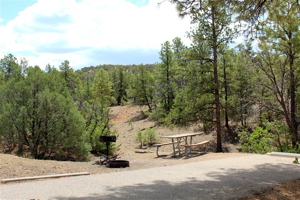 Mt Taylor RD Coal Mine Campground