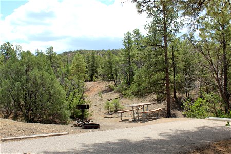 Mt Taylor RD Coal Mine Campground