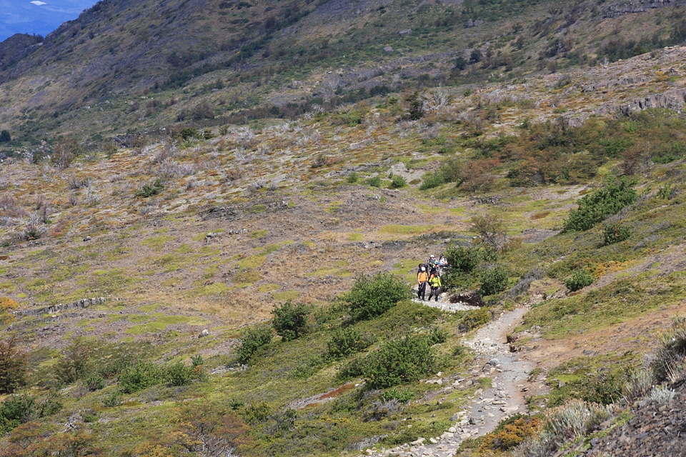 The National Park Torres del Paine, Patagonia, Chile