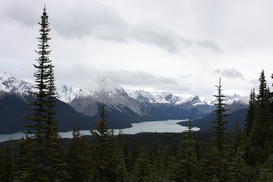 Jasper National Park of Canada Bald Hills