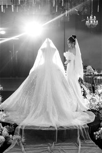 HDS_496 bw