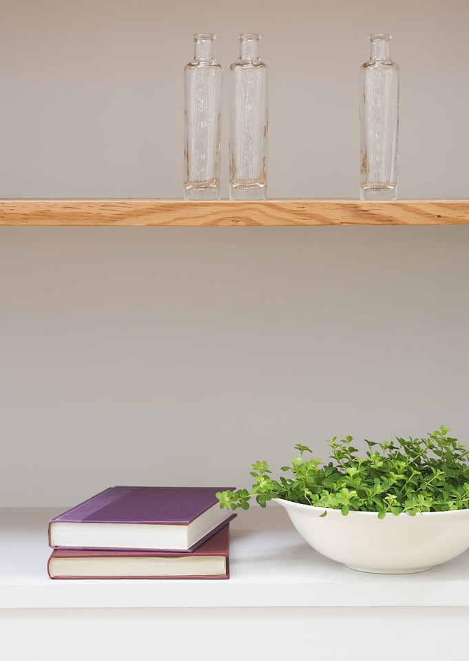 green sprouts with leaves growing at the dish with book