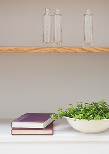 green sprouts with leaves growing at the dish with book