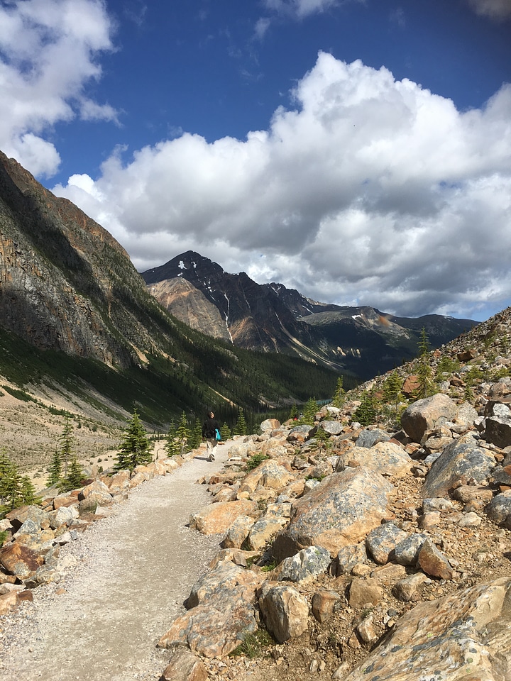 Cavell Meadows Trail - Jasper National Park Alberta Canada photo