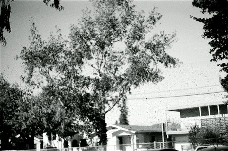40190015