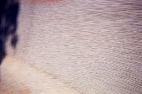 001339790008