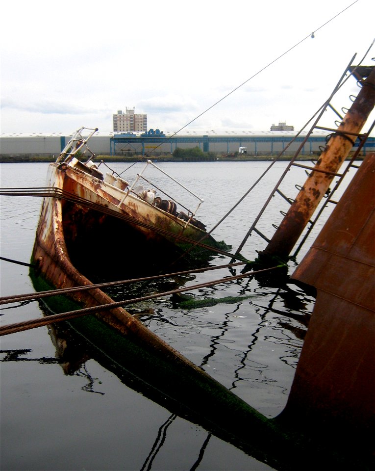 Sarsia - Semi Submerged photo