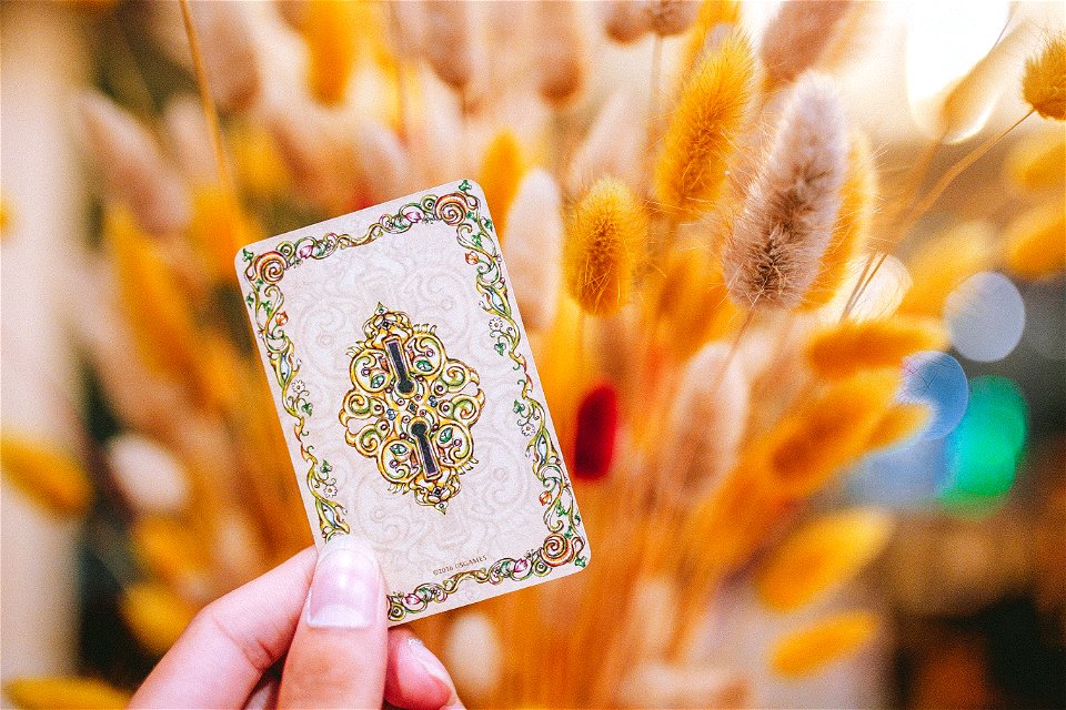 tarot (48 of 137)