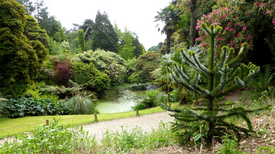 P1000821