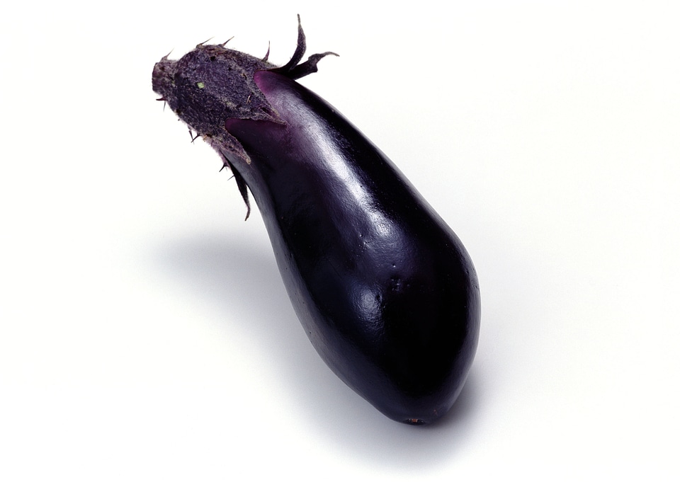 Eggplant isolated on white