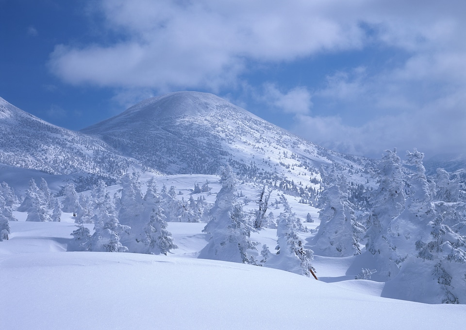 Beautiful winter landscape with snow covered trees