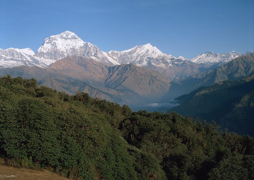 mountains covered with fresh snow