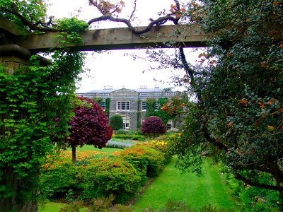 Dsc00310
