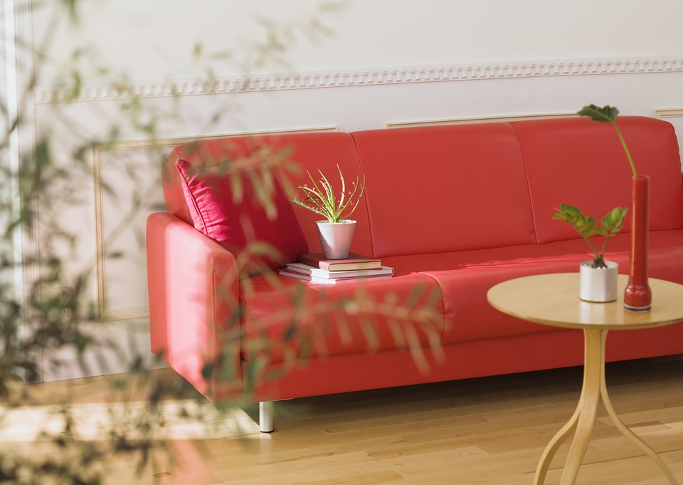 Realistic red sofa with tea table and tree in pot interior